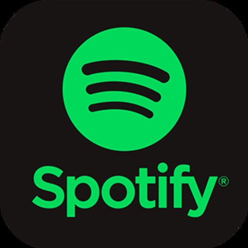 Spotify Premium Individual ✔